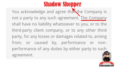 Shadow Shopper Scam - Terms of Use
