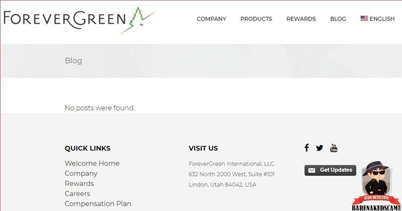 Forever Green Website Blogs