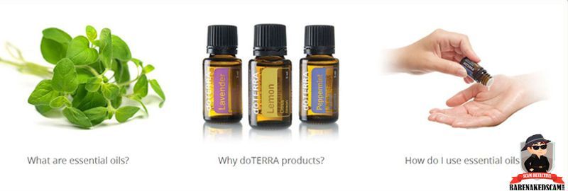 What To Know Before Buying Essential Oils