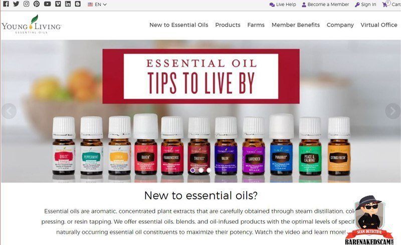 Young Living Home Page