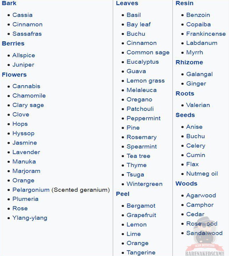 What Is Essential Oil What Is Essential Oil