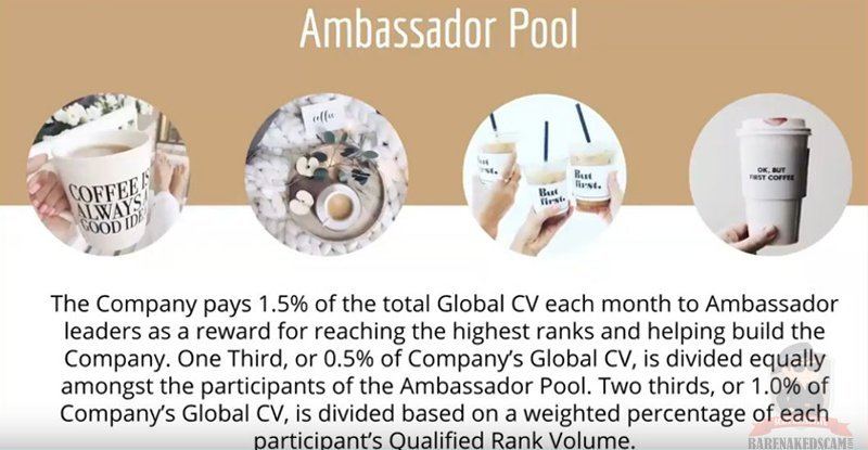 Elepreneur-Ambassador-Pool-Bonus