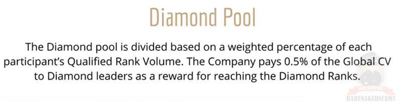 Elepreneur-Diamond-Pool-Bonus