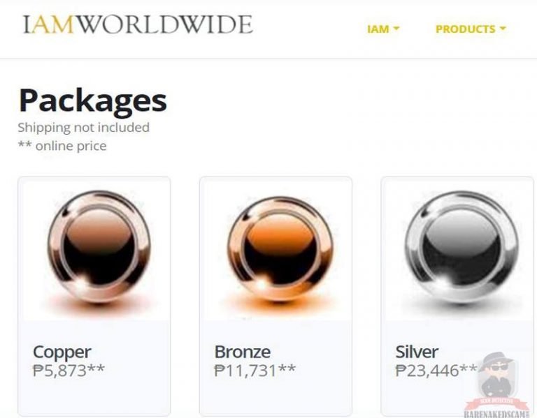 Is IAM Worldwide a Scam? - Everything You Need To Know