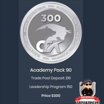 Cash-FX-Academy-Pack-90